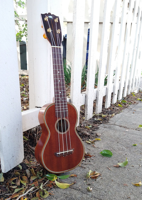 Black store bear ukulele