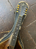 1920's Gibson A2 Mandolin