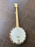 Deering Goodtime teo banjo, with maple neck and headstock