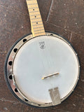 Deering Goodtime Two Banjo