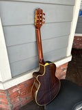 Takamine Santa Fe PSF-65C