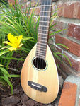 David Judd Custom Ukulele