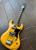 1967 Teisco DG-67