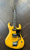 1967 Teisco DG-67