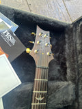 2003 PRS Custom 24 Brazilian 10 Top