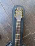 Takamine EN12C-12