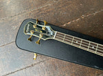 Epiphone Allen Woody Rumblekat Bass