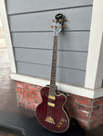 Epiphone Allen Woody Rumblekat Bass