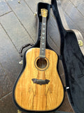 Washburn Acoustic D49SP