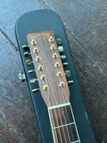 1978 Takamine F-400S 12-String