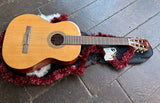 Classical Guitar Classical Package