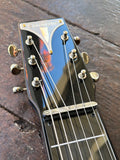 Electar Century Lap Steel