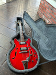 Epiphone EA-250