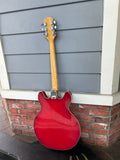 Epiphone EA-250