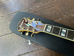 Pat Metheny Ibanez Signature Model PM2-AA