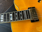 Pat Metheny Ibanez Signature Model PM2-AA