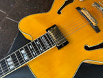 Pat Metheny Ibanez Signature Model PM2-AA