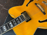 Pat Metheny Ibanez Signature Model PM2-AA