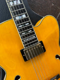 Pat Metheny Ibanez Signature Model PM2-AA