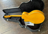 Pat Metheny Ibanez Signature Model PM2-AA