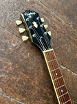 Epiphone ES-335