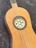 1978 Larry Higgins Baroque Nylon Fret Guitar