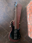 Ibanez TR Bass on the included hardshell case