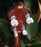 Fender Leo Banjo