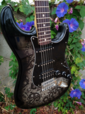 Fender Special Edition 2012