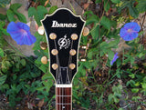 Ibanez Artcore AS73G