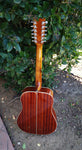 Johnson 12 String Acoustic