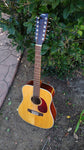 Johnson 12 String Acoustic